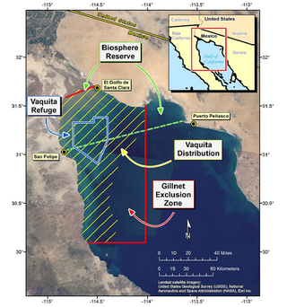 Satellite image of vaquita habitat range and protected areas.NOAA